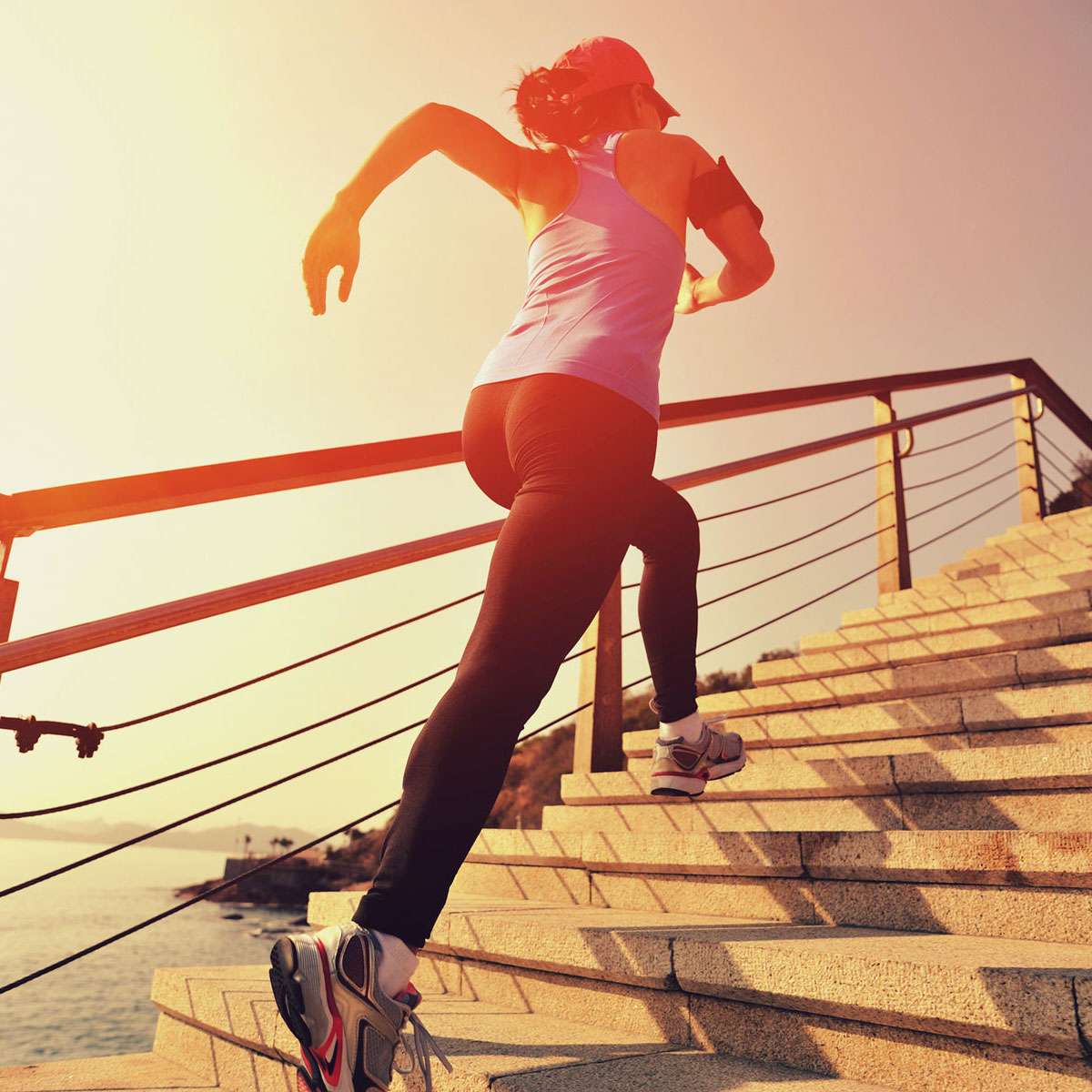 Dynamis Female Fitness